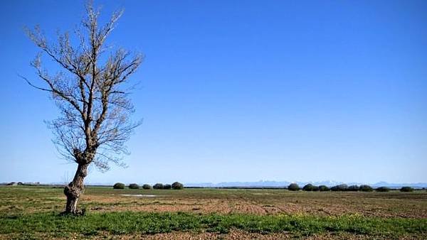 IMG_9185.JPG