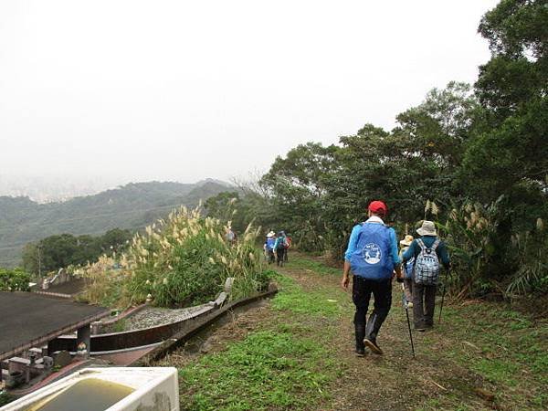 IMG_6250.JPG