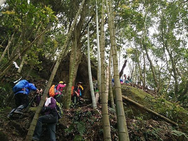 2017.05.06溪頭鳳凰山_170506_0028.jpg