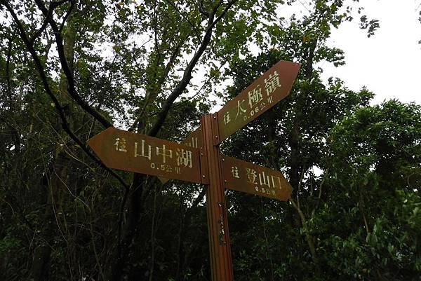 P1130130.jpg