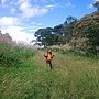 line_113538822088193.jpg
