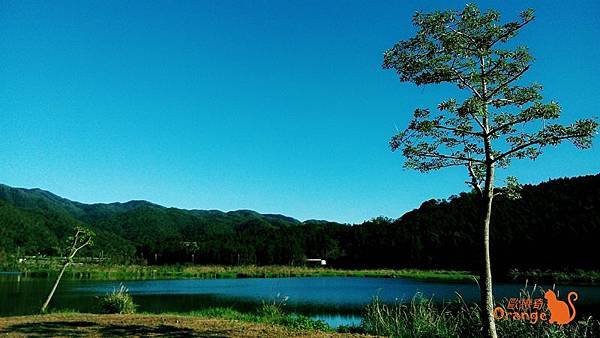 雙連埤環湖步道18.jpg