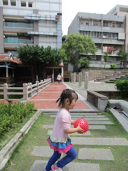 IMG_1254.JPG