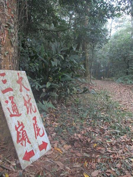 060.JPG