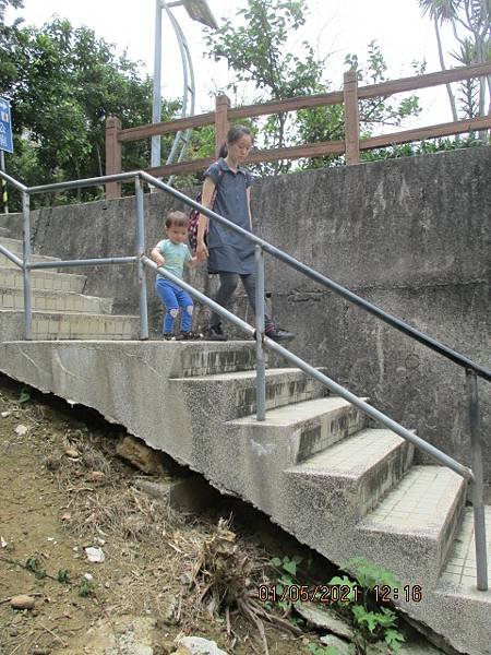 161.JPG