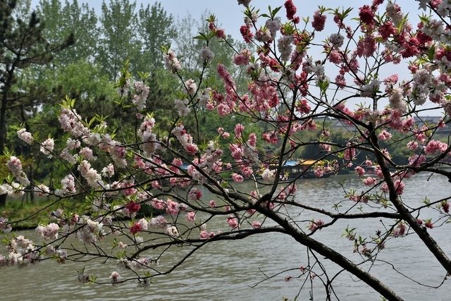 DSC_4591.JPG - 2019江蘇旅遊