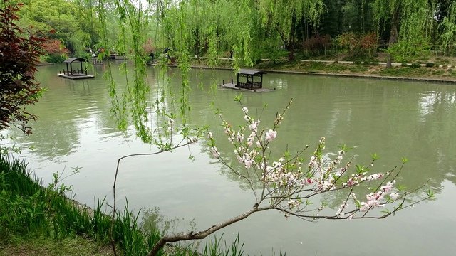 DSC01483.JPG - 2019江蘇旅遊