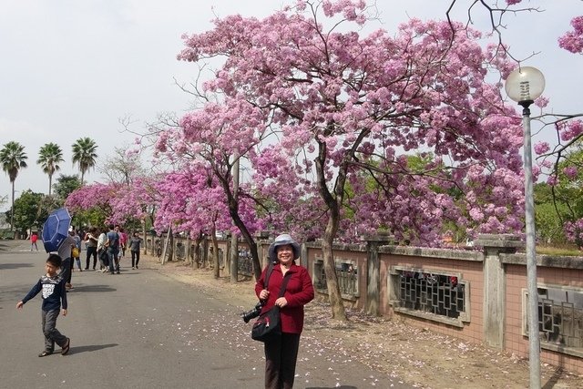 DSC01019.JPG - 107、108嘉義旅遊