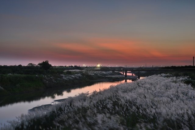 DSC_3803.JPG - 106台南旅遊