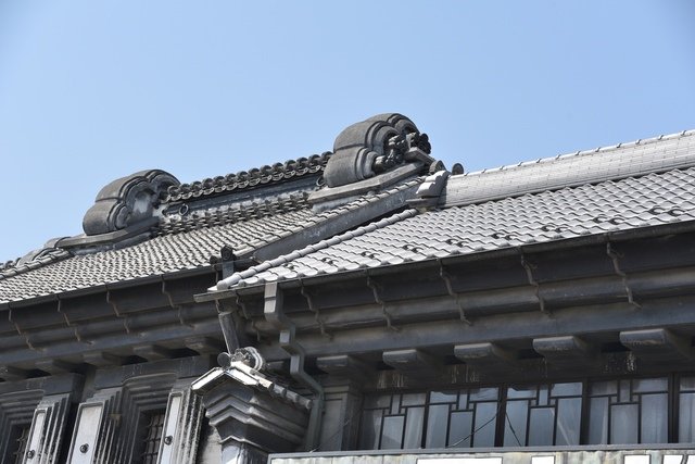 DSC_0665.JPG - 日本足利公園紫藤及富士芝櫻