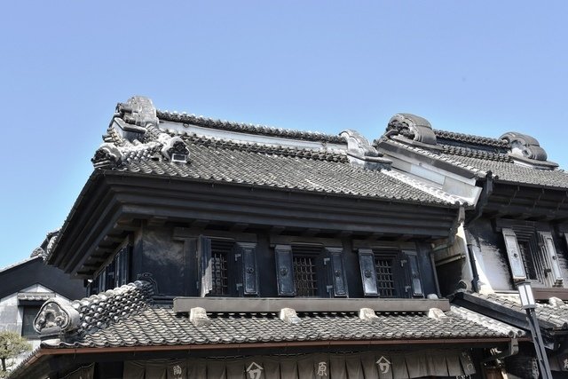 DSC_0666.JPG - 日本足利公園紫藤及富士芝櫻