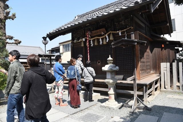 DSC_0635.JPG - 日本足利公園紫藤及富士芝櫻