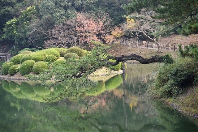 DSC_6637.JPG - 2016日本四國旅遊