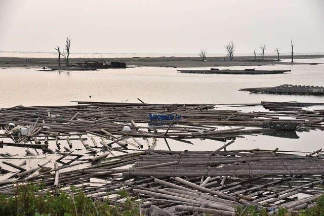 DSC_4419.JPG - 105嘉義縣市旅遊