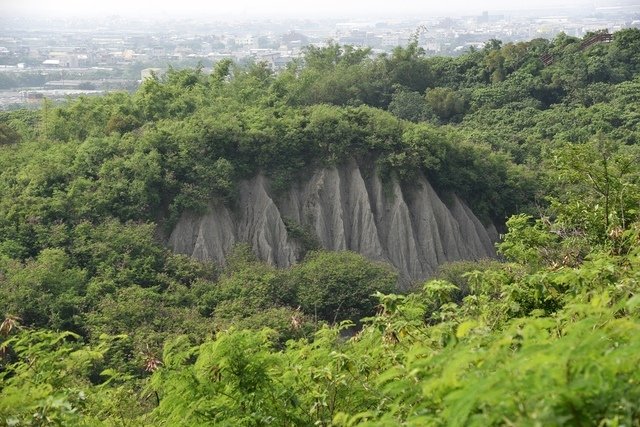 DSC_0576.JPG - 104高雄旅遊