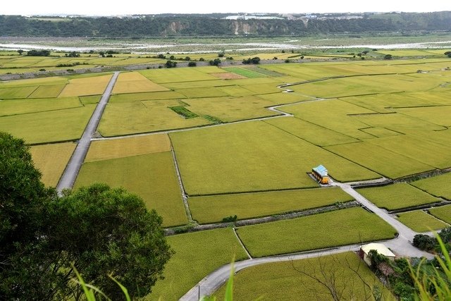DSC_2737.JPG - 台中旅遊