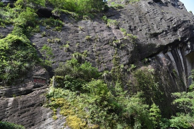 DSC_1390.JPG - 福州及武夷山旅遊