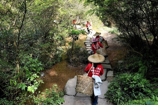 DSC_1401.JPG - 福州及武夷山旅遊