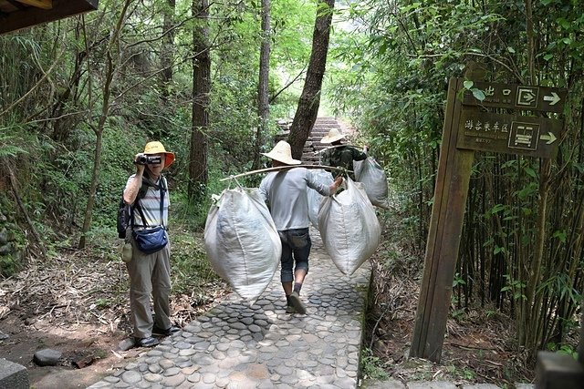 DSC_1478.JPG - 福州及武夷山旅遊