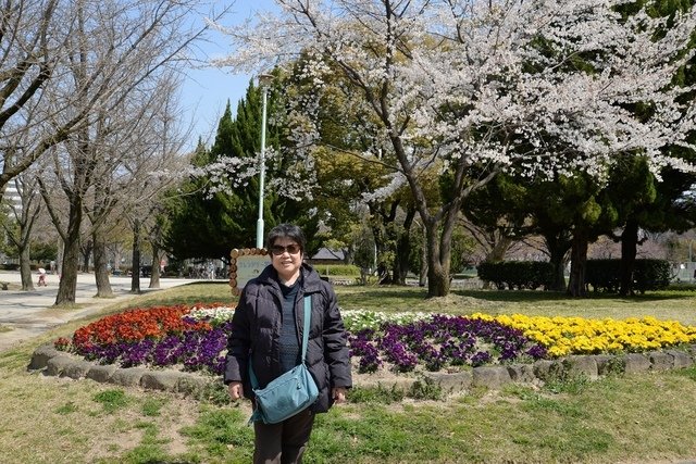 DSC_0598.JPG - 2015日本名古屋賞櫻