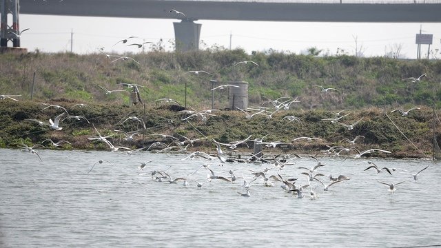 DSC_1409.JPG - 104台南旅遊2