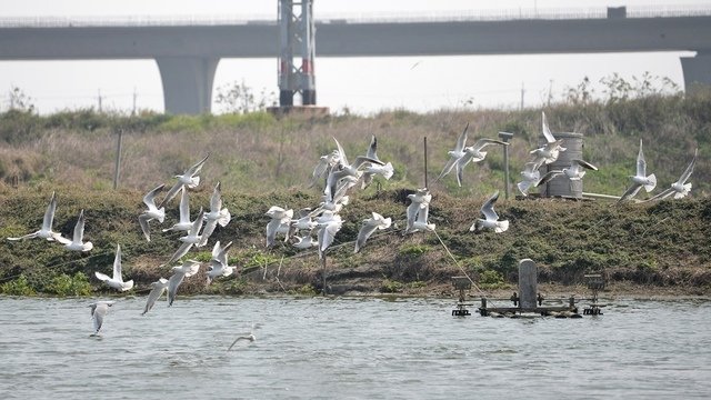 DSC_1441.JPG - 104台南旅遊2