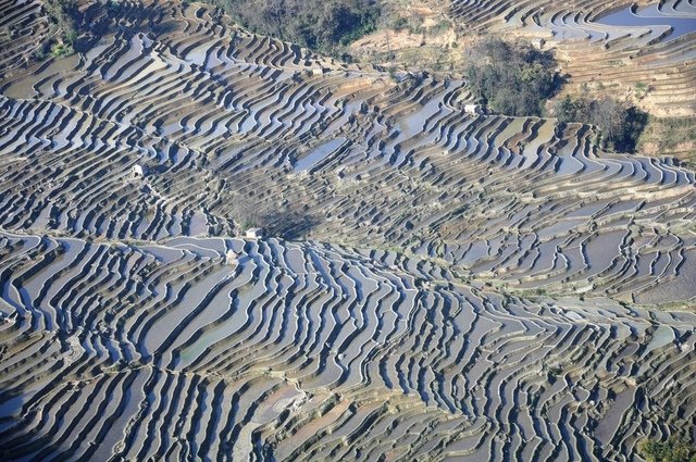 DSC_0574.JPG - 2011雲南東川紅土地及元陽梯田