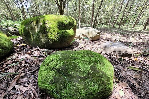 台南市南化水庫及源之旅公園之二