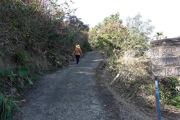 嘉義中埔半日遊，愛在山林農場、中埔百年古隧道