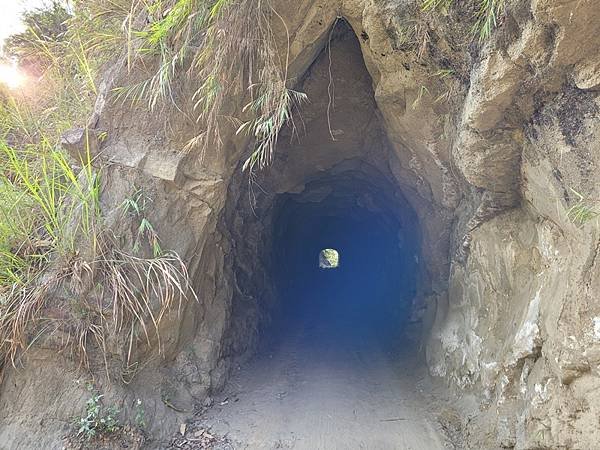 嘉義中埔半日遊，愛在山林農場、中埔百年古隧道