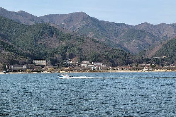 2024日本東京賞櫻5，富士山及河口湖