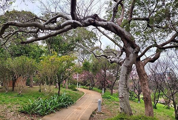 新竹麗池公園及竹北水圳公園