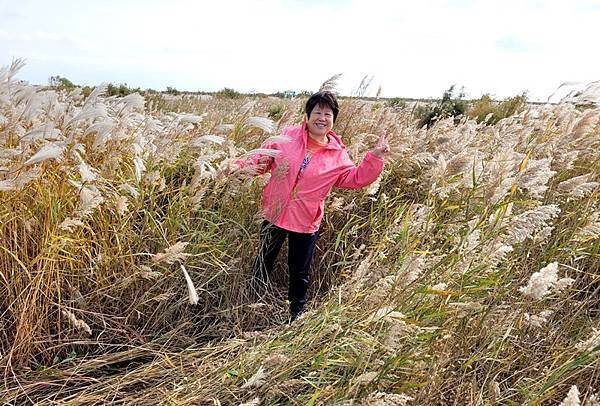 山東賞楓八日遊4，黃河入海口生態園區