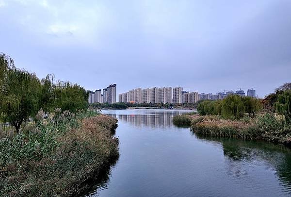 山東賞楓八日遊5，淄博海岱樓