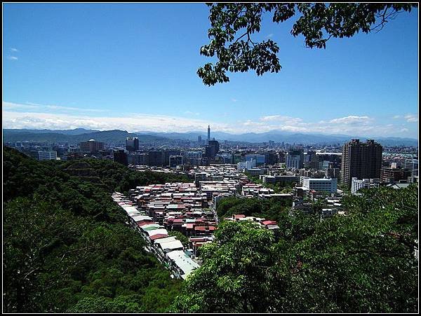 20130812金面山親山步道04