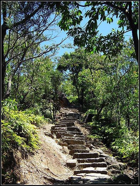 20130812金面山親山步道07