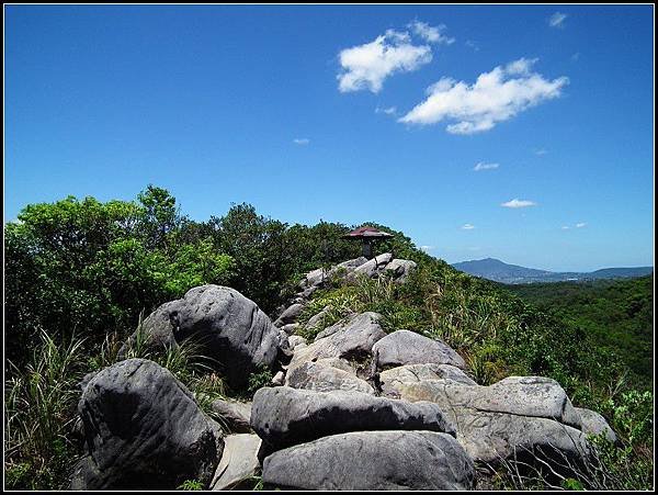 20130812金面山親山步道30