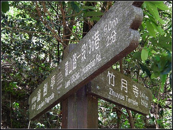 20130812金面山親山步道52