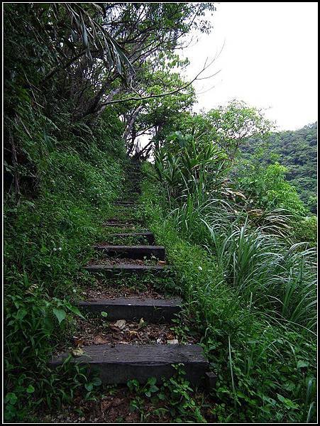 DSCF4607(001).jpg