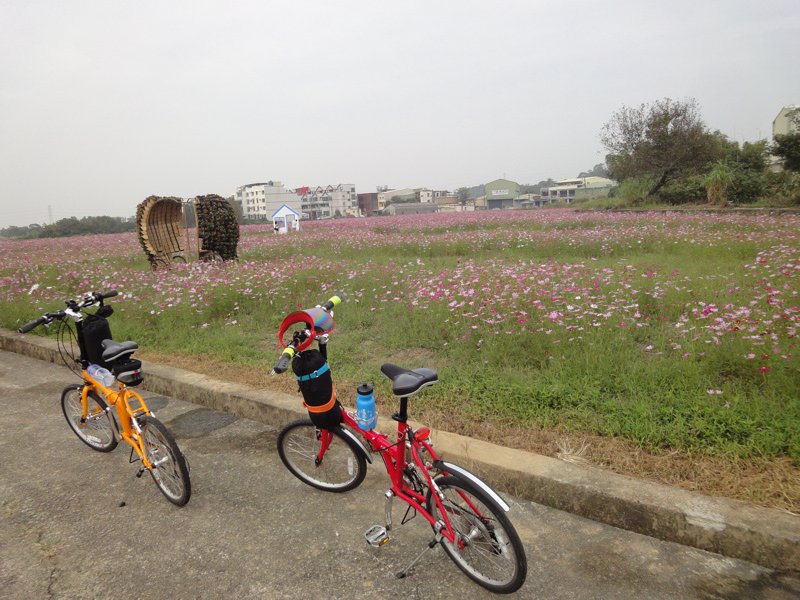 山外路花田