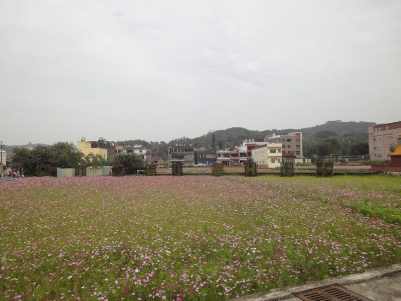 山外路花田