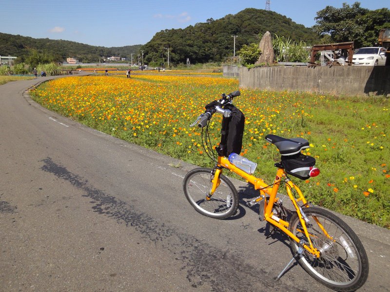 楓樹村