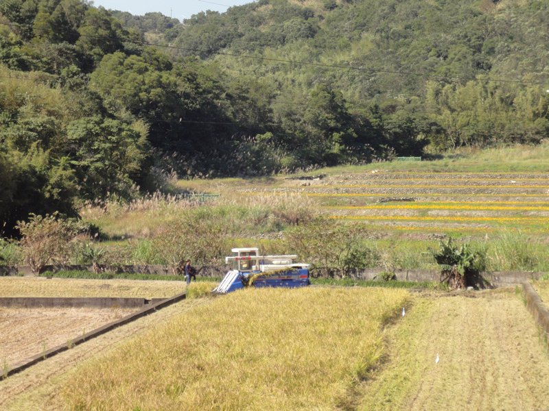 割稻機