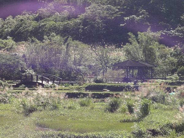 北口