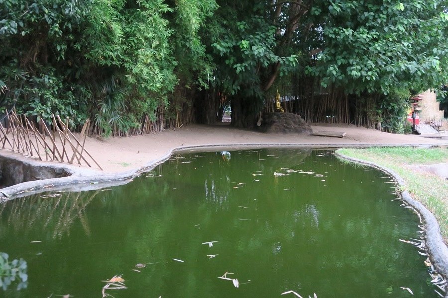 วัดพันเตาWat Phan Tao盼道寺