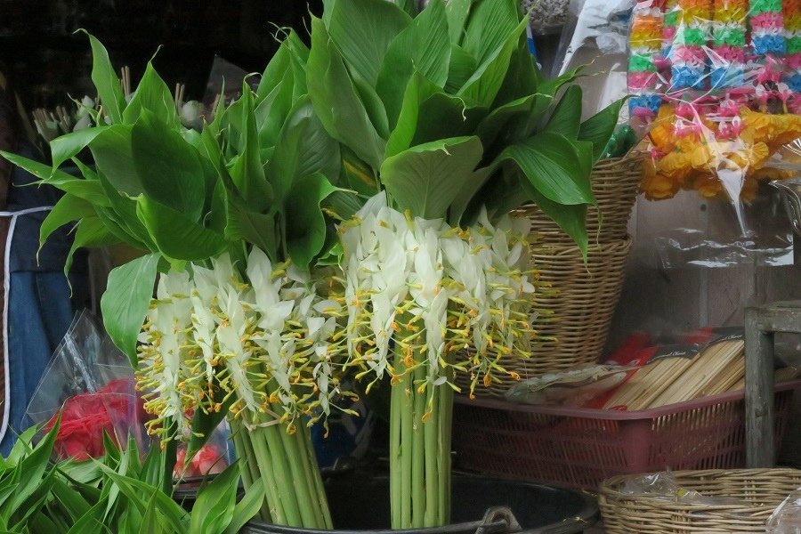 กาดดอกไม้เชียงใหม่ Florist Market Mueang龍眼市場