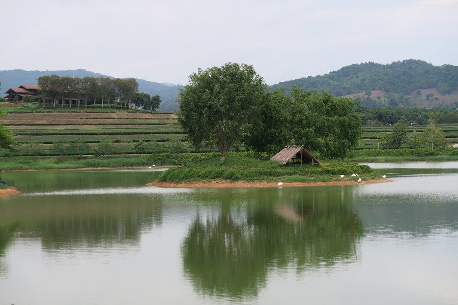 สิงห์ปาร์ค Singha Park辛哈公園