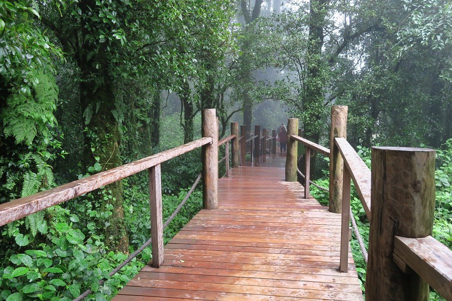Yod Doi Nature Trail熱帶雨林小徑