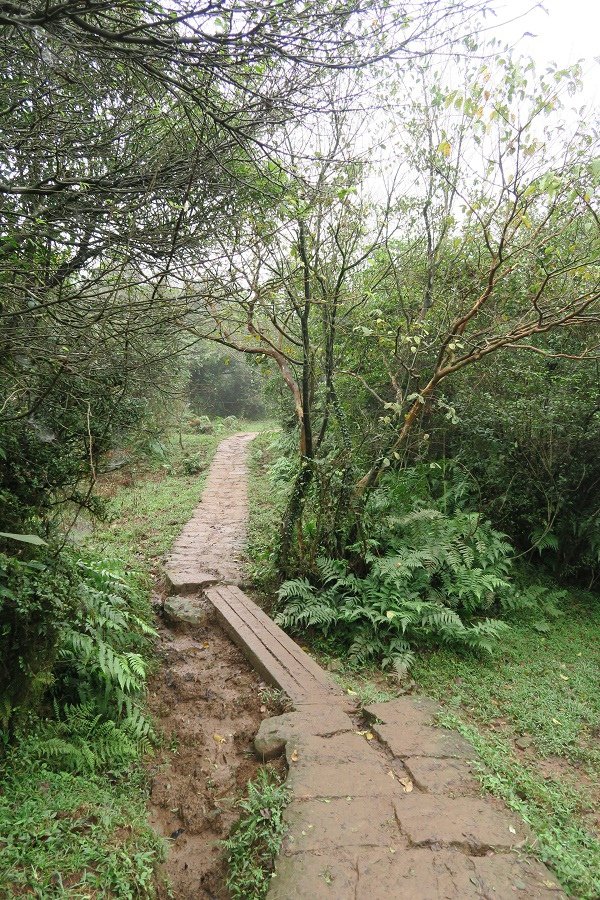 頂山石梯嶺步道