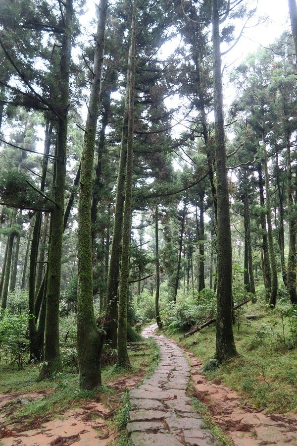 頂山石梯嶺步道